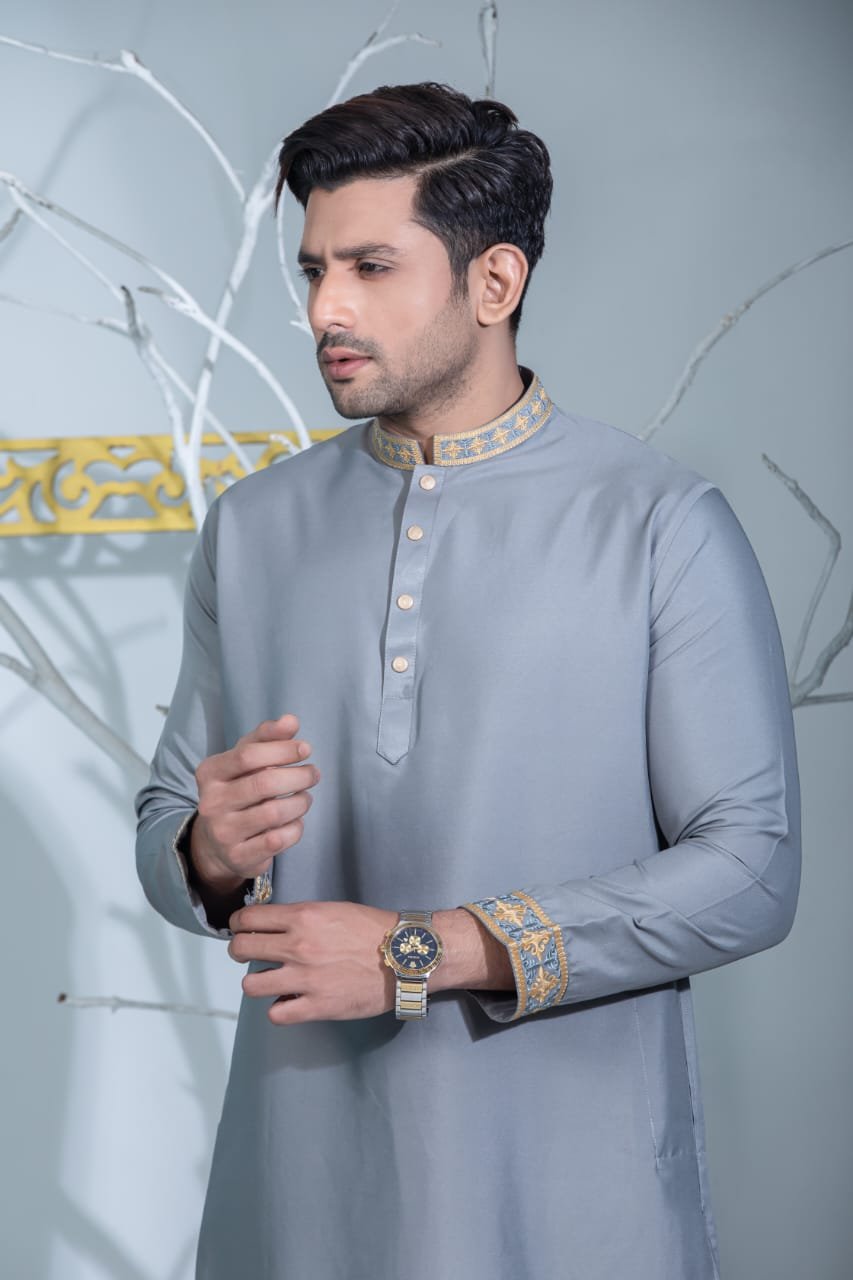 Ash Embroidery Panjabi / Code 206